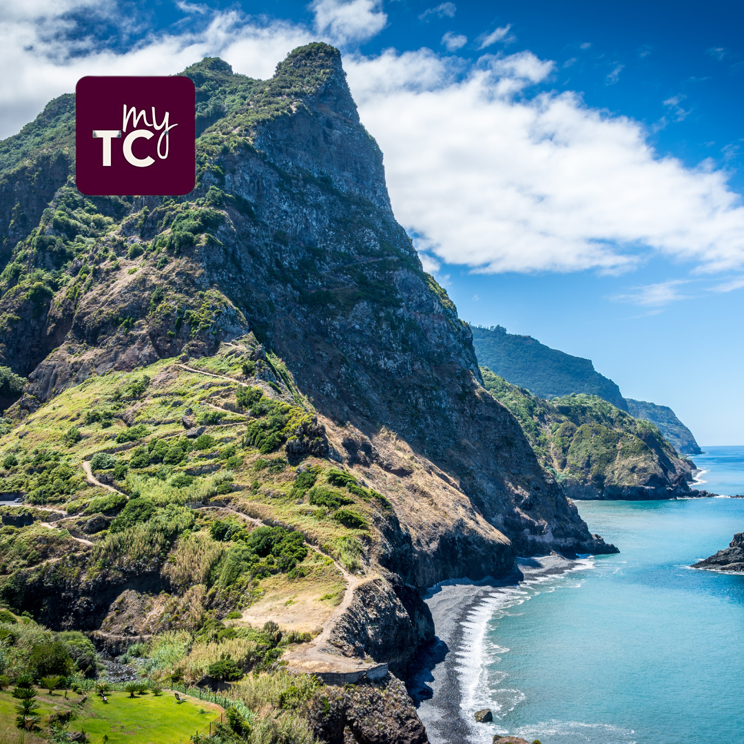 Boek in een handomdraai